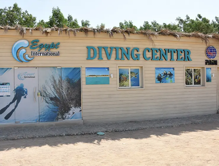Egypt International Diving